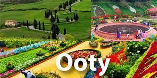 Ooty Honeymoon Drop